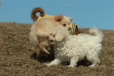 Mar8_07_386.JPG