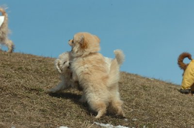 Mar8_07_387.JPG
