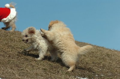 Mar8_07_388.JPG