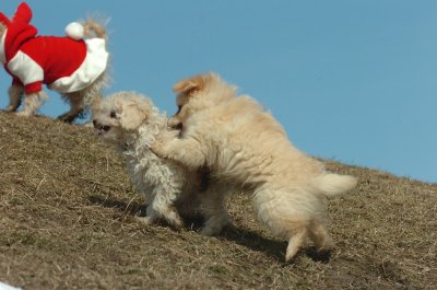 Mar8_07_389.JPG