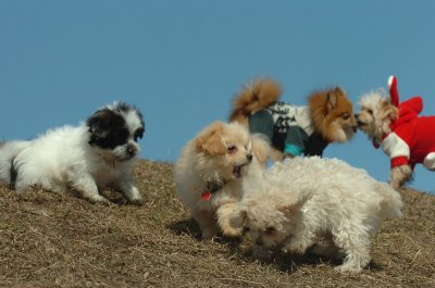 Mar8_07_393.JPG