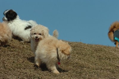 Mar8_07_394.JPG