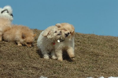 Mar8_07_398.JPG