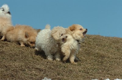 Mar8_07_399.JPG