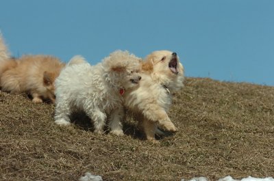 Mar8_07_400.JPG
