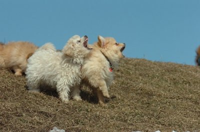 Mar8_07_401.JPG