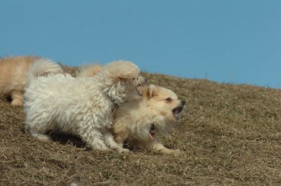 Mar8_07_402.JPG