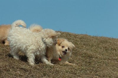 Mar8_07_403.JPG