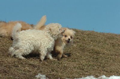 Mar8_07_404.JPG