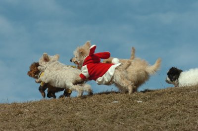 Mar8_07_406.JPG