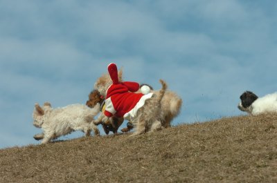 Mar8_07_408.JPG