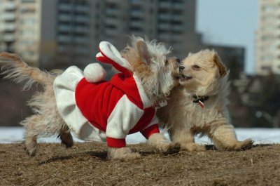 Mar8_07_411.JPG