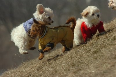 Mar9_07_467.JPG
