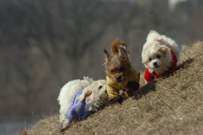 Mar9_07_468.JPG