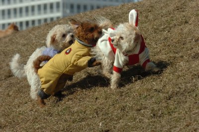 Mar9_07_471.JPG