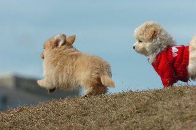 Mar9_07_489.JPG