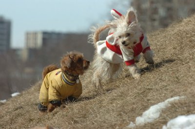 Mar9_07_490.JPG