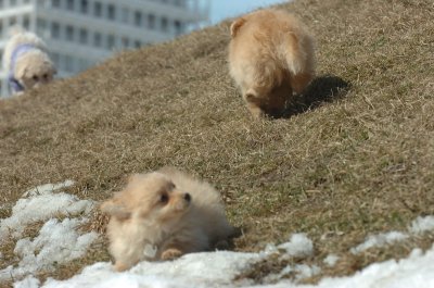 Mar9_07_494.JPG