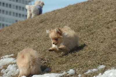 Mar9_07_497.JPG