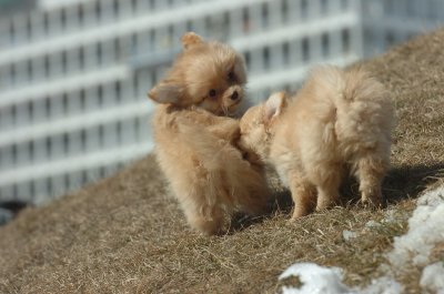 Mar9_07_499.JPG