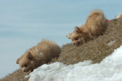 Mar9_07_510.JPG