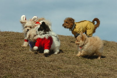 Mar9_07_184.JPG