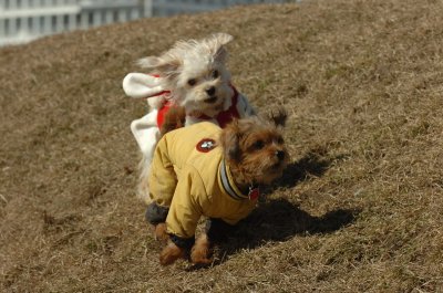 Mar9_07_197.JPG