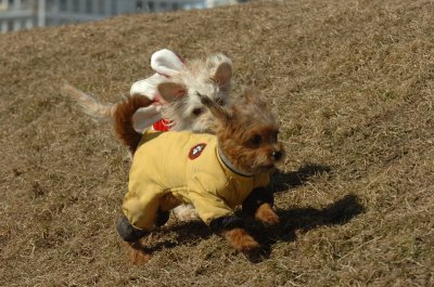 Mar9_07_198.JPG