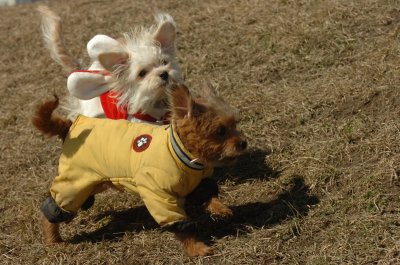 Mar9_07_200.JPG