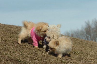 Mar9_07_203.JPG