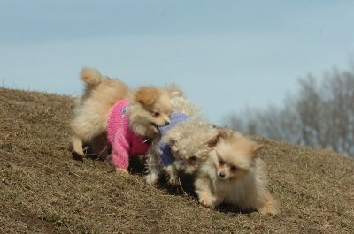 Mar9_07_204.JPG