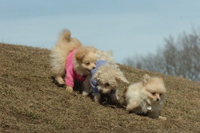 Mar9_07_205.JPG
