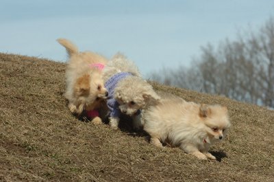 Mar9_07_206.JPG