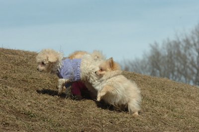Mar9_07_207.JPG