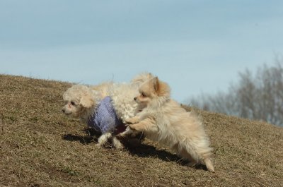 Mar9_07_208.JPG