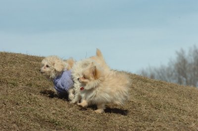Mar9_07_209.JPG