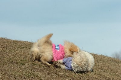 Mar9_07_210.JPG