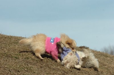 Mar9_07_211.JPG