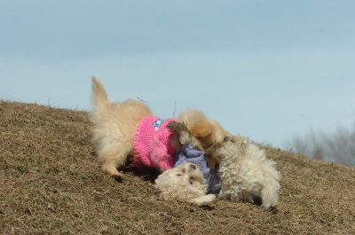 Mar9_07_212.JPG