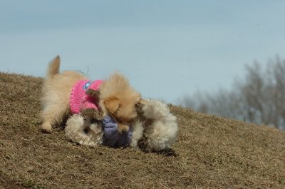 Mar9_07_214.JPG