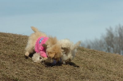 Mar9_07_215.JPG
