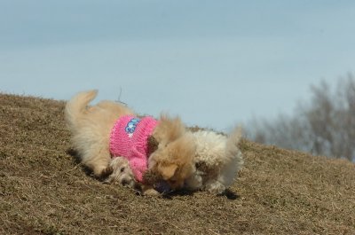 Mar9_07_216.JPG