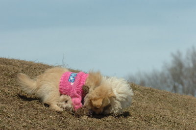 Mar9_07_217.JPG