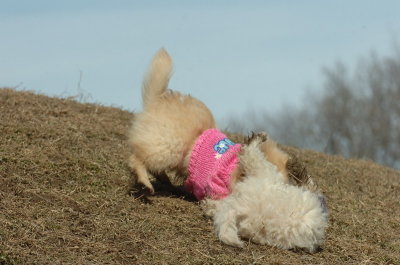 Mar9_07_218.JPG