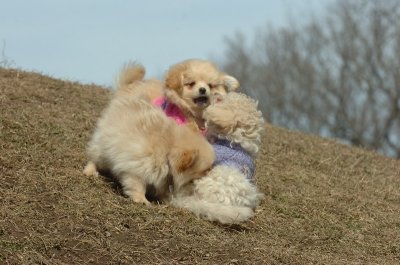 Mar9_07_220.JPG