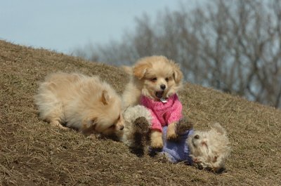 Mar9_07_224.JPG