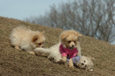 Mar9_07_225.JPG