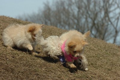 Mar9_07_226.JPG