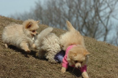 Mar9_07_227.JPG