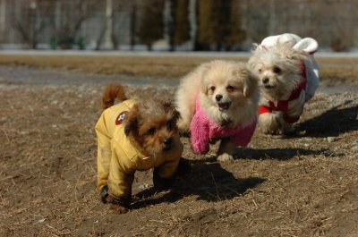 Mar11_07_710.JPG